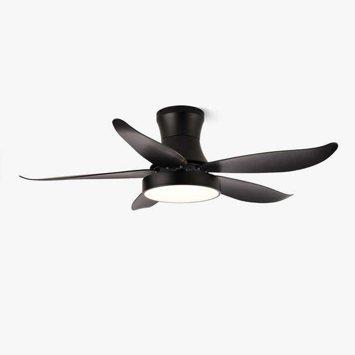 Zephyr Noir Ceiling Fan Light Vakkerlight