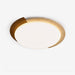 Halo Terra Ceiling Light Vakkerlight