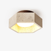 Hexa Core Ceiling Light Vakkerlight