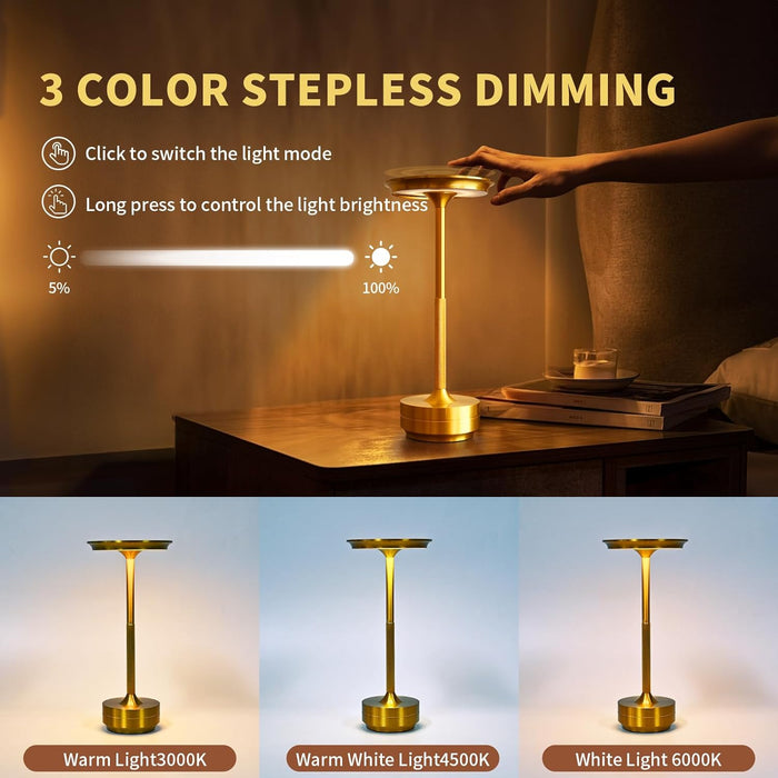 Luminous Lamp