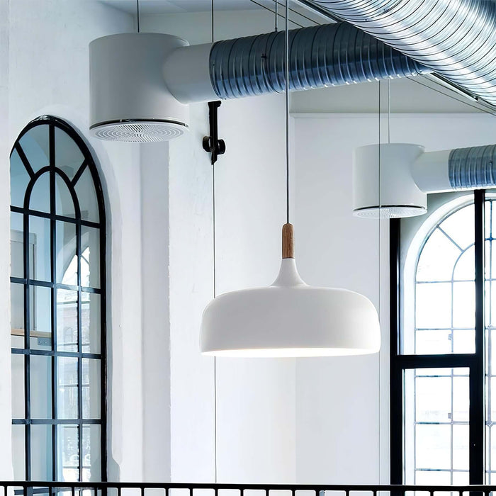 Acorn Pendant Light Vakkerlight