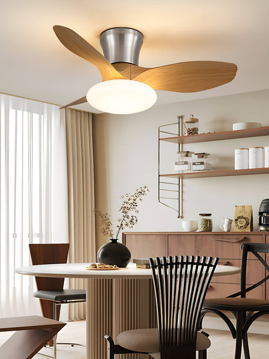 Aeris Curve Ceiling Fan Light Vakkerlight