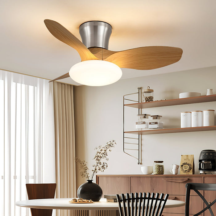 Aeris Curve Ceiling Fan Light Vakkerlight
