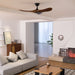 Aero Breeze Ceiling Fan Vakkerlight
