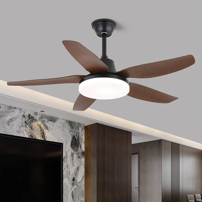 Aeroglow LED Ceiling Fan Light Vakkerlight