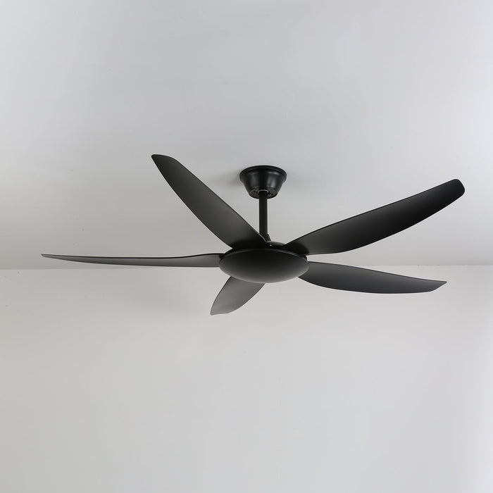 Aeron Noir Ceiling Fan Vakkerlight