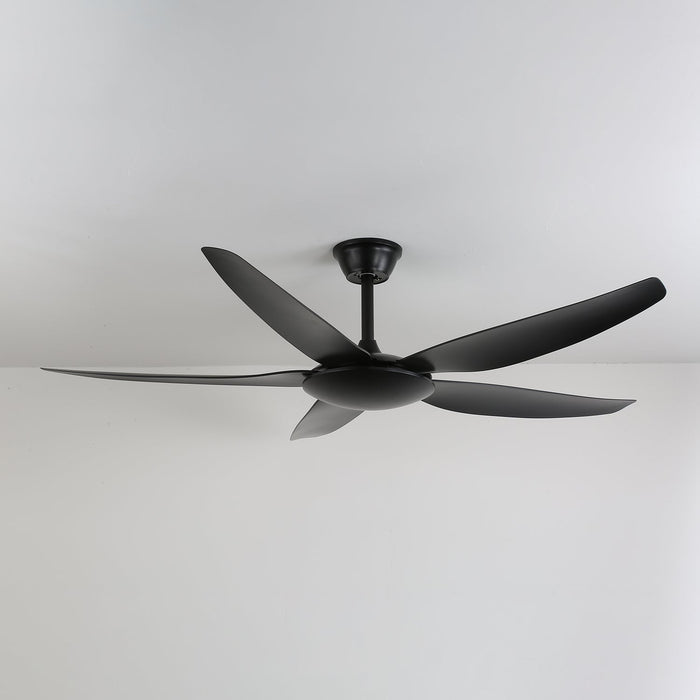 Aeron Noir Ceiling Fan Vakkerlight