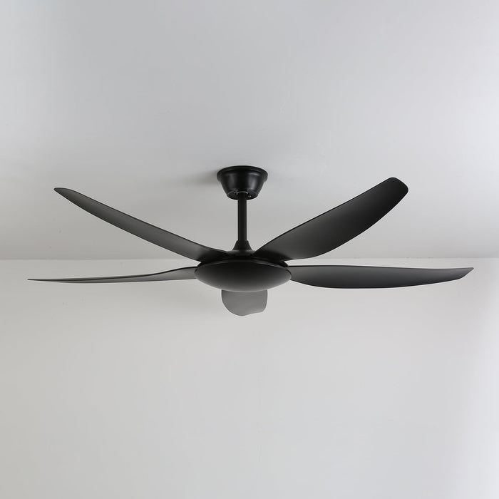 Aeron Noir Ceiling Fan Vakkerlight