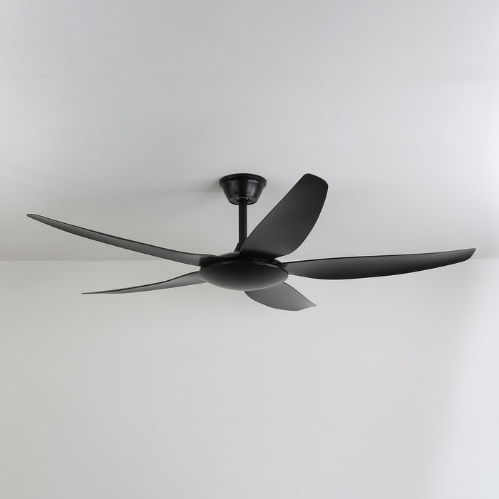 Aeron Noir Ceiling Fan Vakkerlight