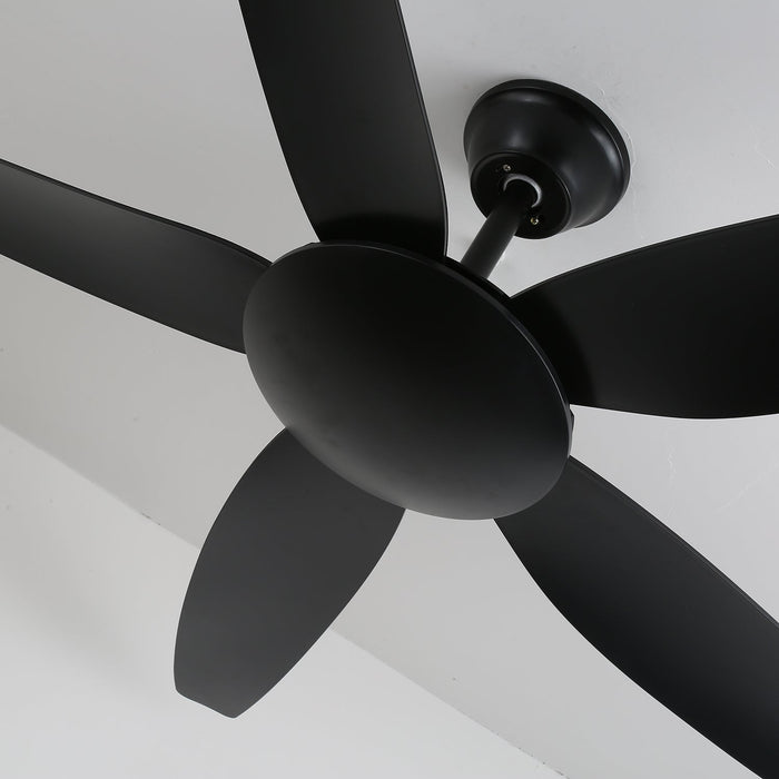 Aeron Noir Ceiling Fan Vakkerlight