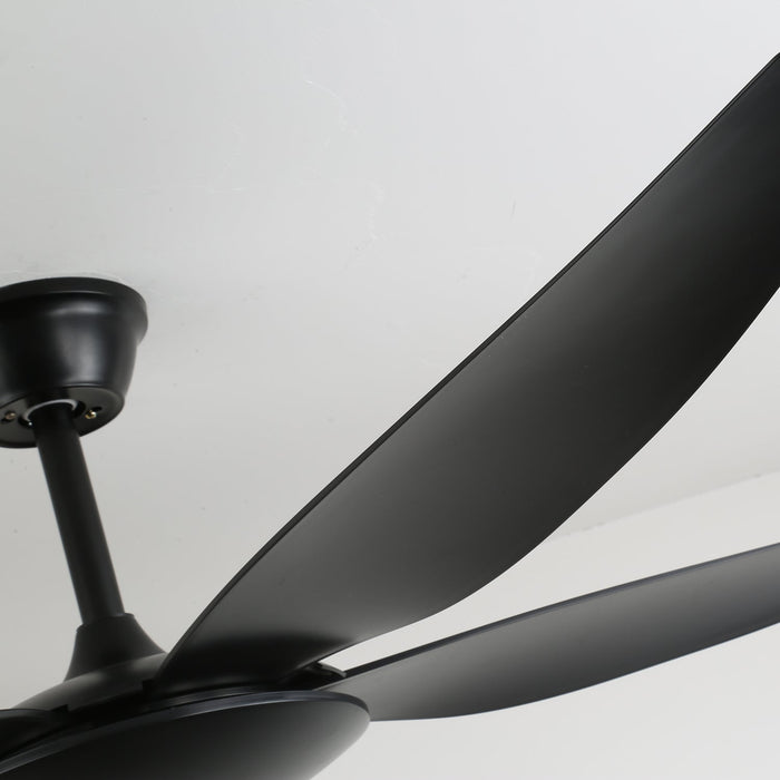 Aeron Noir Ceiling Fan Vakkerlight