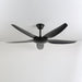 Aeron Noir Ceiling Fan Vakkerlight