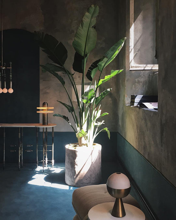 Alabaster Comet Table Lamp Vakkerlight