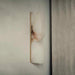 Alabaster Essence Wall Sconce Vakkerlight