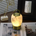 Alabaster Portable Rechargeable Table Lamp Vakkerlight