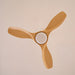 Amelia Ceiling Fan Vakkerlight