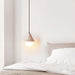 Aslo Pendant Lamp Vakkerlight