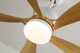 Avenli Ceiling Fan Light Vakkerlight