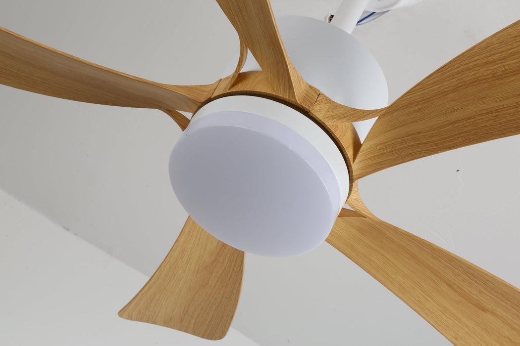 Avenli Ceiling Fan Light Vakkerlight