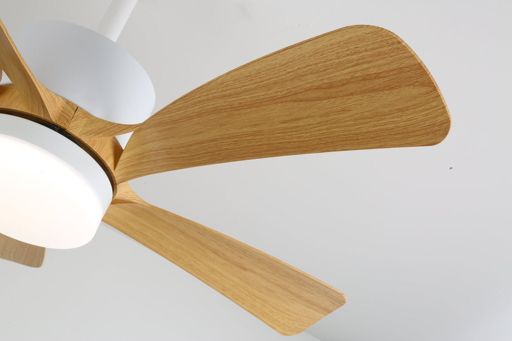 Avenli Ceiling Fan Light Vakkerlight