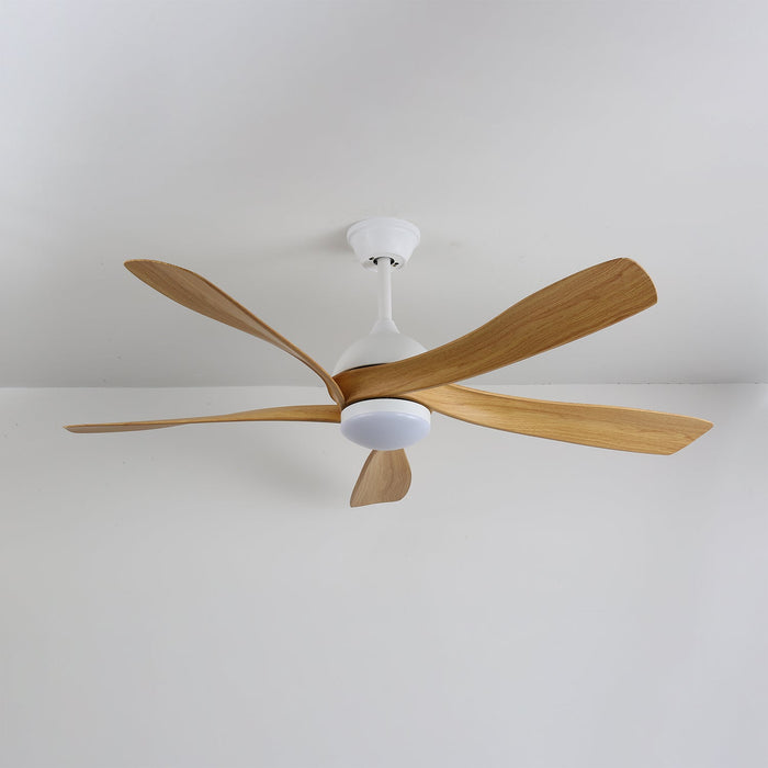 Avenli Ceiling Fan Light Vakkerlight