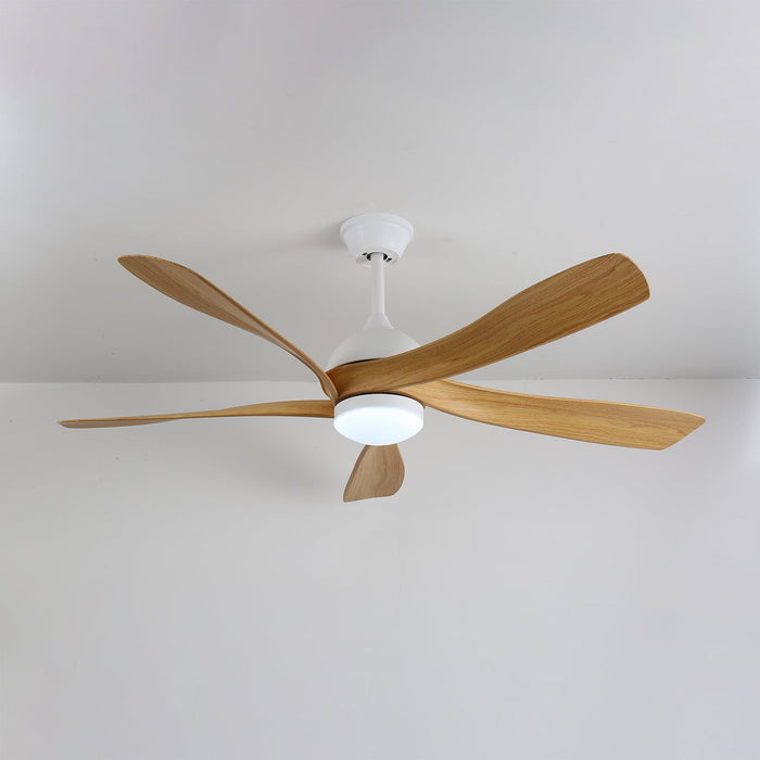 Avenli Ceiling Fan Light Vakkerlight