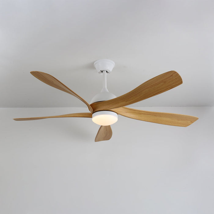 Avenli Ceiling Fan Light Vakkerlight