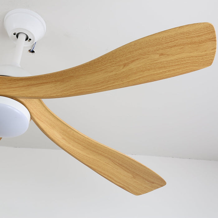 Avenli Ceiling Fan Light Vakkerlight