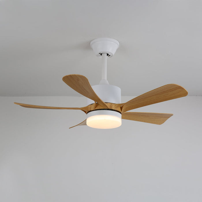 Avenli Ceiling Fan Light Vakkerlight