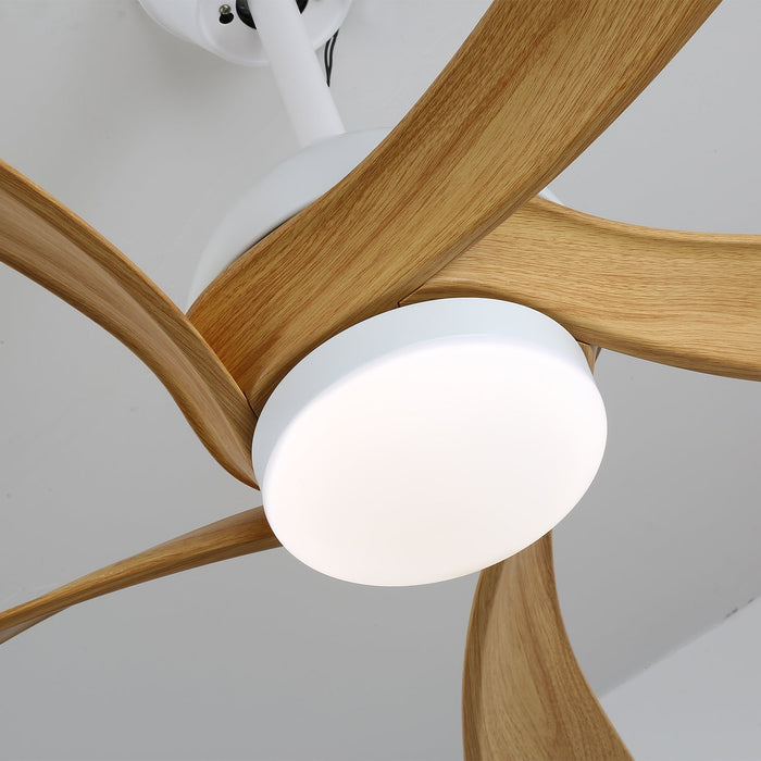 Avenli Ceiling Fan Light Vakkerlight
