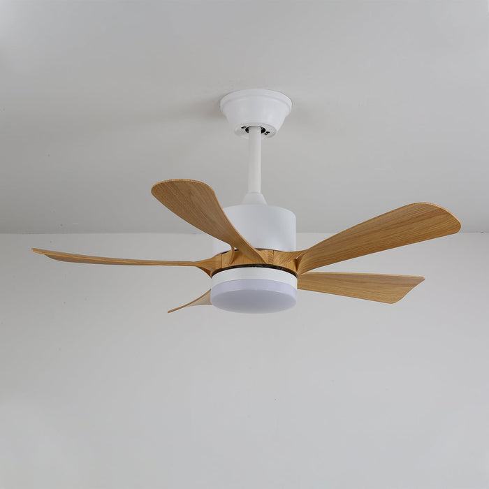 Avenli Ceiling Fan Light Vakkerlight