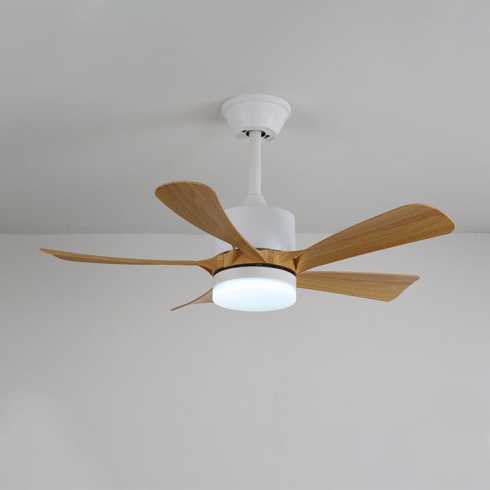 Avenli Ceiling Fan Light Vakkerlight
