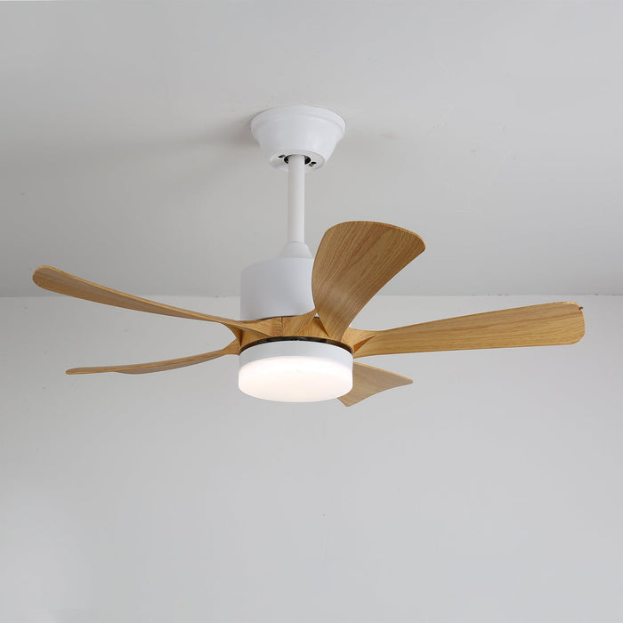 Avenli Ceiling Fan Light Vakkerlight