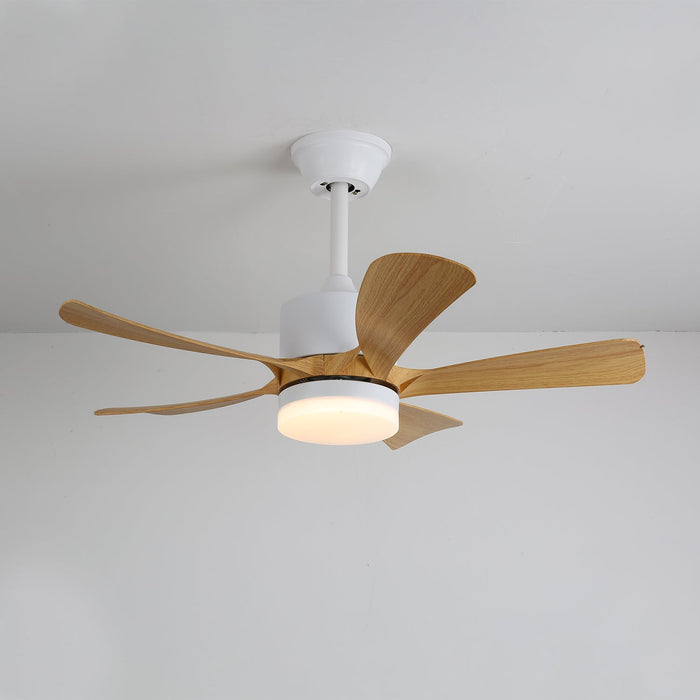 Avenli Ceiling Fan Light Vakkerlight