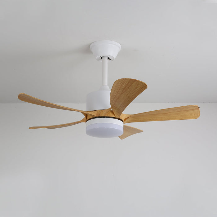 Avenli Ceiling Fan Light Vakkerlight