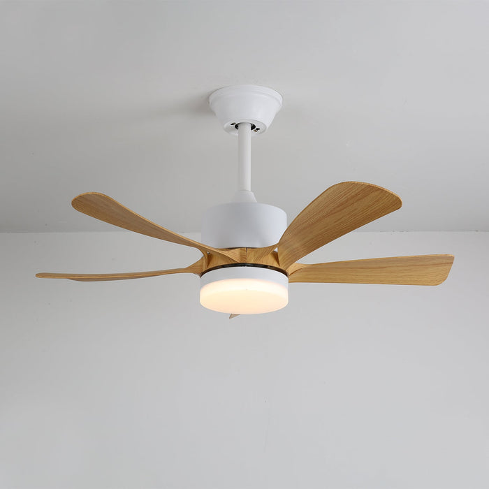 Avenli Ceiling Fan Light Vakkerlight