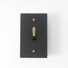 Brass Toggle Switch (1-Gang) - Open Box simprolos