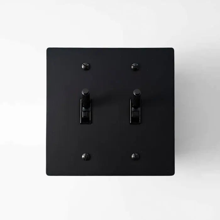 Brass Toggle Switch (2-Gang) - Open Box simprolos