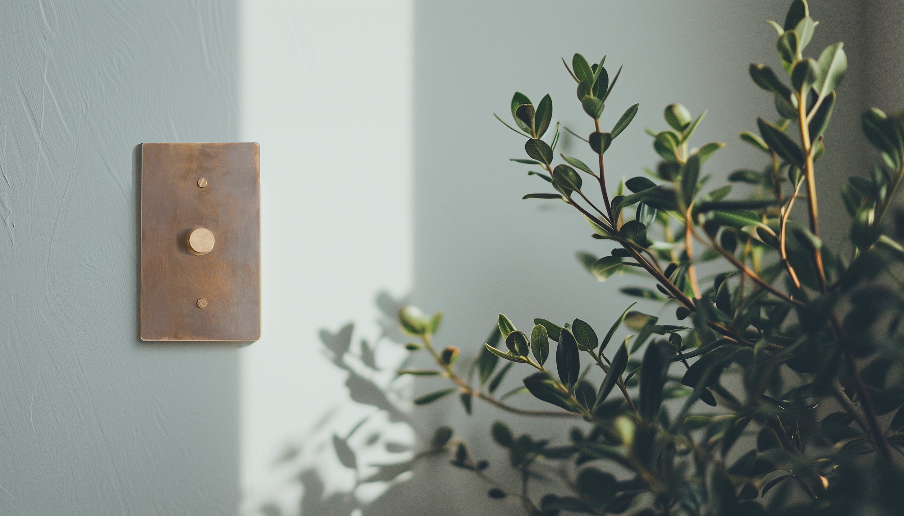 Brass Rotary Dimmer Switch (1 to 4 Gang) — Simprolos