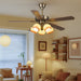 Bravelle Vintage Ceiling Fan Light Vakkerlight