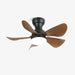 Small Arilia 29" Ceiling Fan Light Vakkerlight