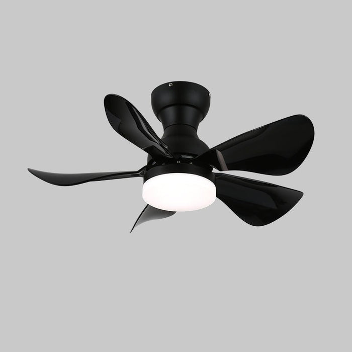 Small Arilia 29" Ceiling Fan Light Vakkerlight