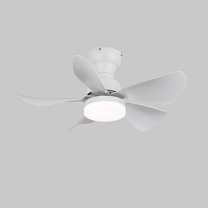 Small Arilia 29" Ceiling Fan Light Vakkerlight