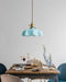 French Flower Pendant Light Vakkerlight
