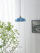 French Flower Pendant Light Vakkerlight