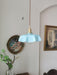 French Flower Pendant Light Vakkerlight