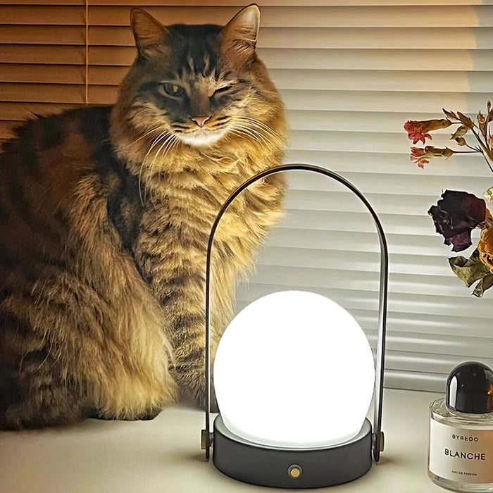 Carrie Built-in Battery Table Lamp Vakkerlight