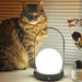 Carrie Built-in Battery Table Lamp Vakkerlight