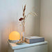 Carrie Built-in Battery Table Lamp Vakkerlight