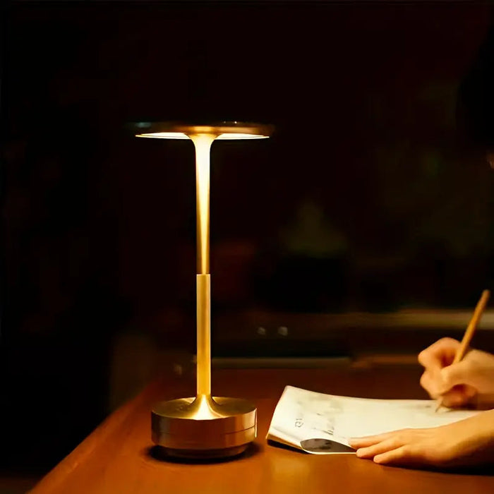 Luminous Lamp